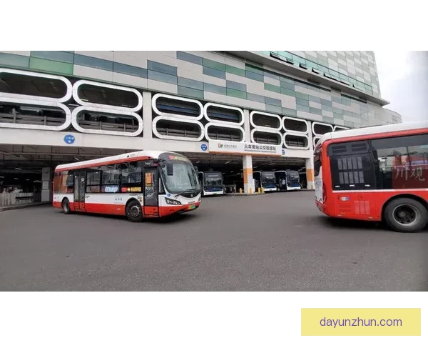 公交车后车座的疯狂的C城市青春边缘故事全记录与迷失呐喊时代缩影